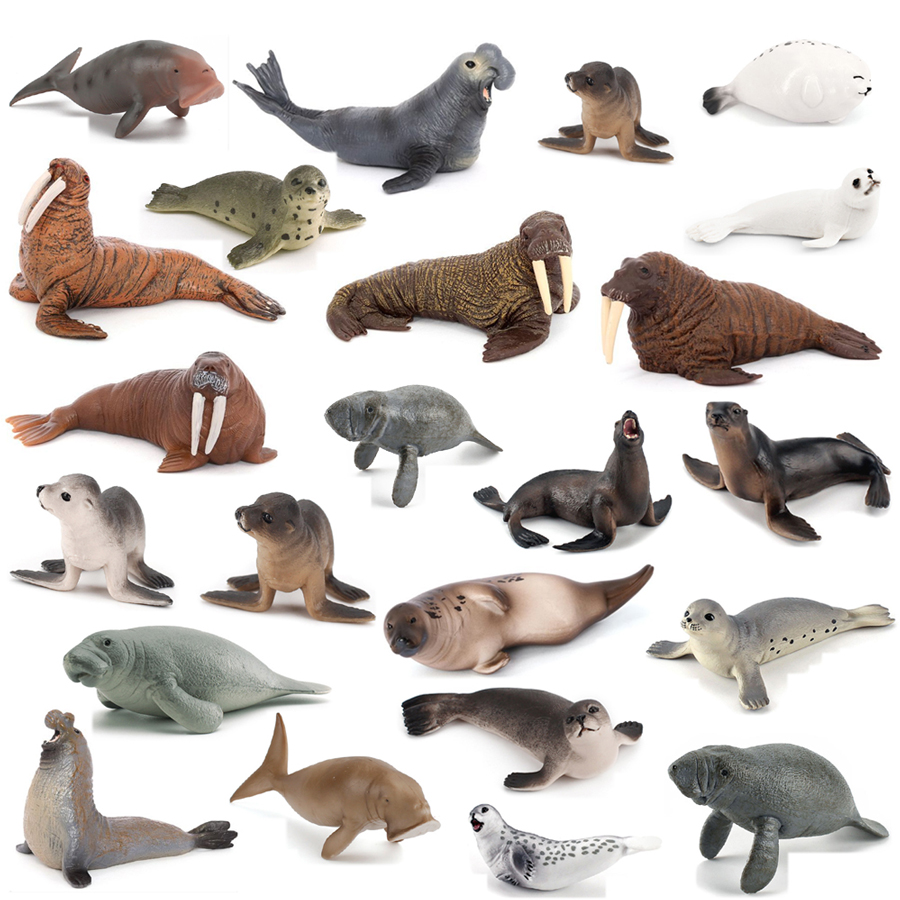 Realistic Dugong Manatee Walru - Kids Education Picture ulasan dan harga