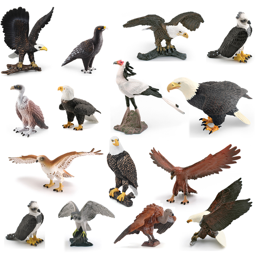 Realistic Wildlife Animal Bird - Kids Education Picture ulasan dan harga