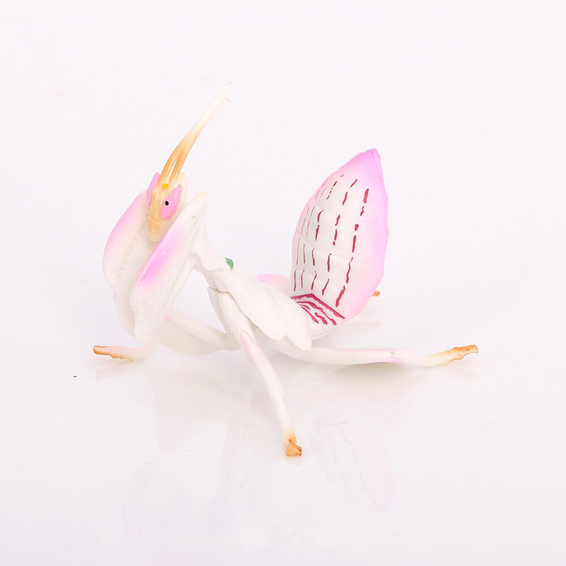 Realistic Animal Toy Model Pin - Orchid Kids Education ulasan dan harga
