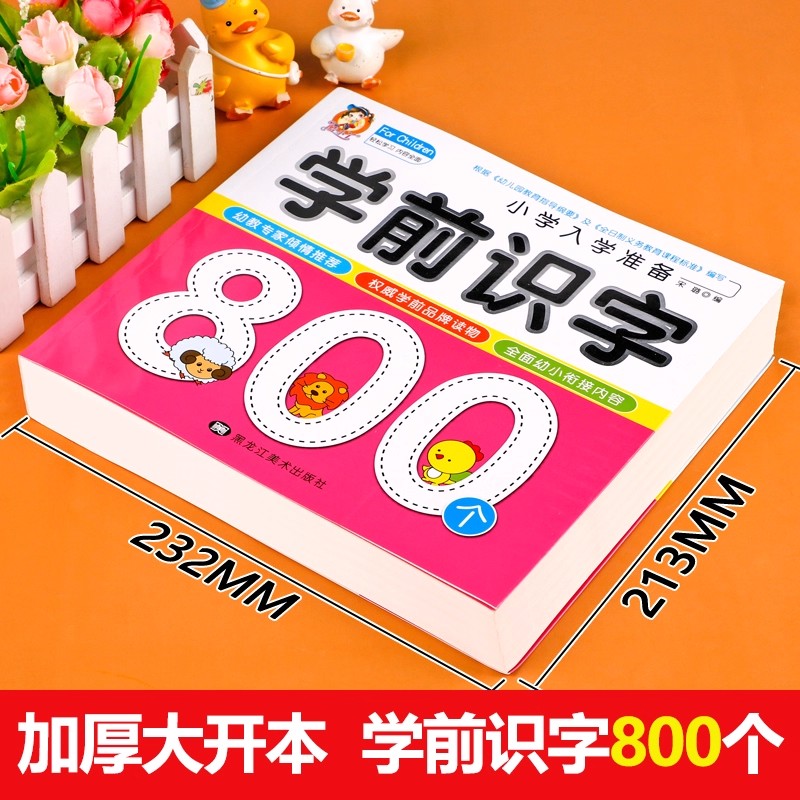 Preschool Literacy: 800 Chines - Kids Education Picture ulasan dan harga