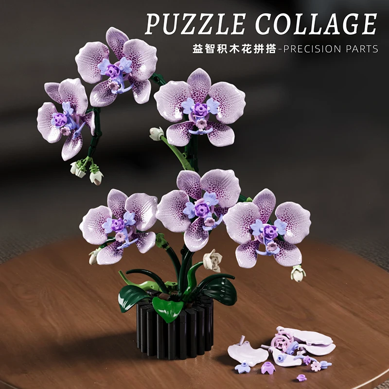 Orchid Potted Plants Simulatio - Orchid Kids Education ulasan dan harga