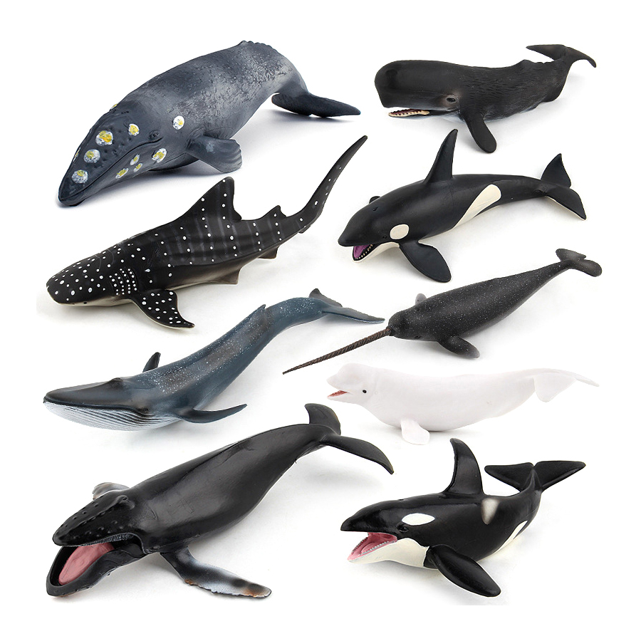 Realistic Humpback Whale Sperm - Kids Education Picture ulasan dan harga