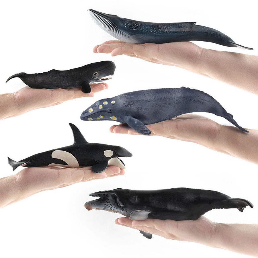Realistic Humpback Whale Sperm - Kids Education Picture ulasan dan harga