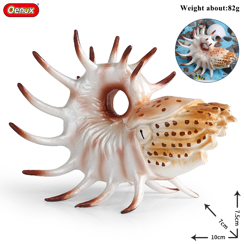 Oenux Sea Life Animals Coral O - Kids Education Movies ulasan dan harga