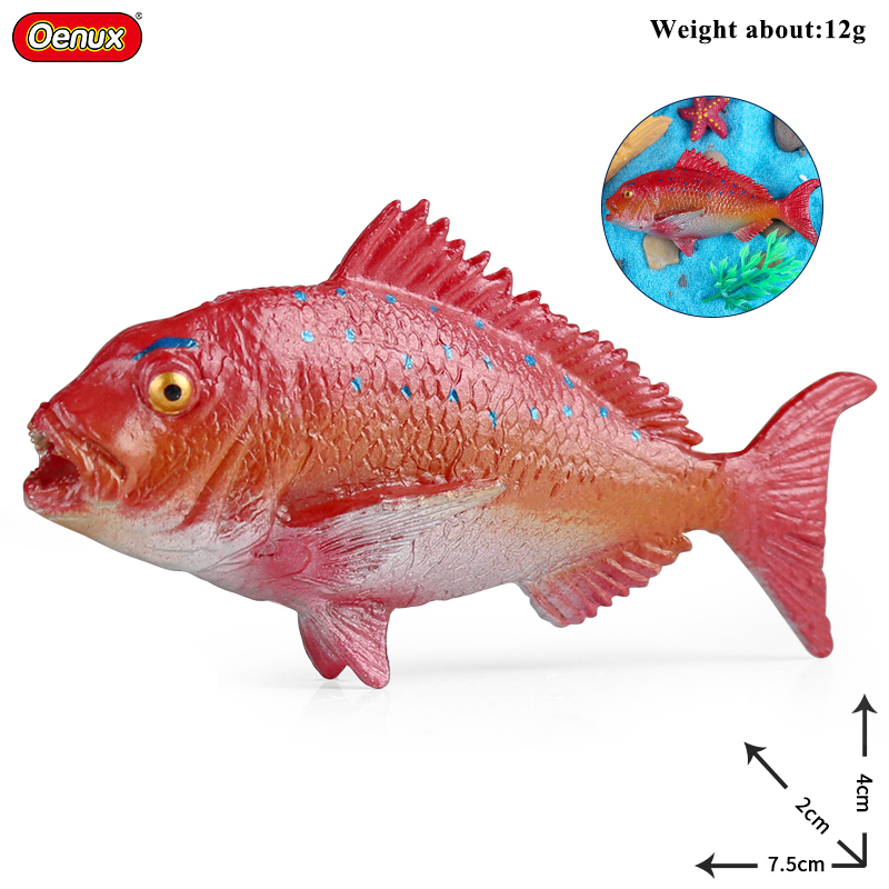 Oenux Sea Life Animals Coral O - Kids Education Movies ulasan dan harga