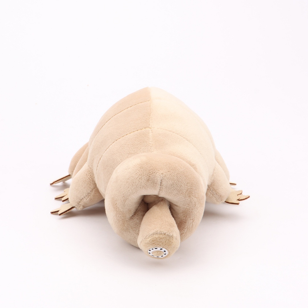 Water Bear Tardigrade Plush To - Kids Education Movies ulasan dan harga