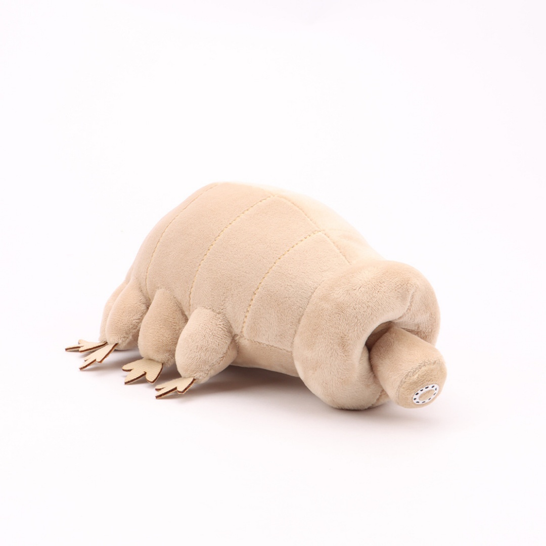 Water Bear Tardigrade Plush To - Kids Education Movies ulasan dan harga