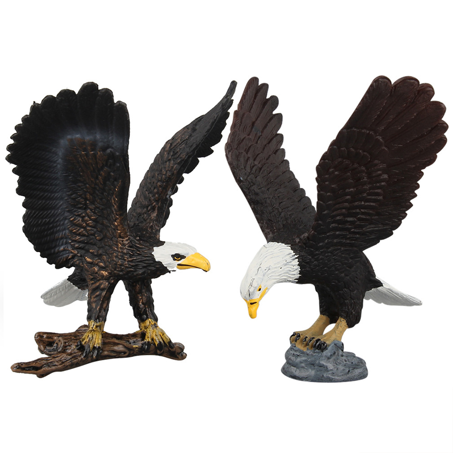 Realistic North American Anima - Kids Education Picture ulasan dan harga
