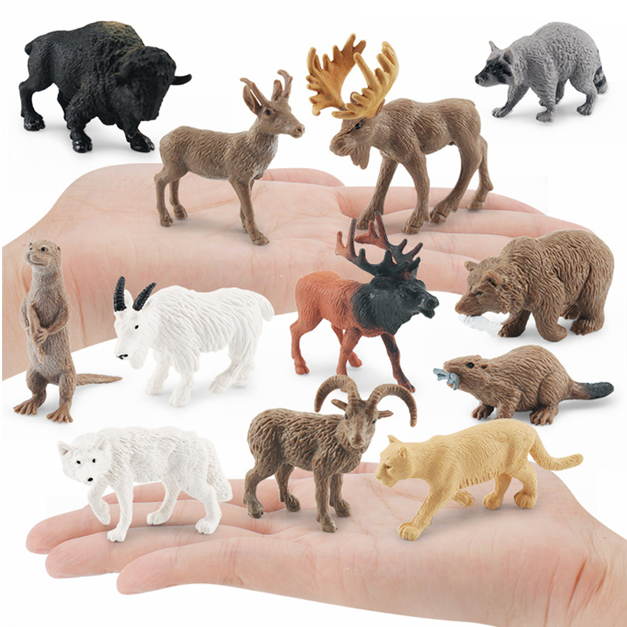 Realistic North American Anima - Kids Education Picture ulasan dan harga
